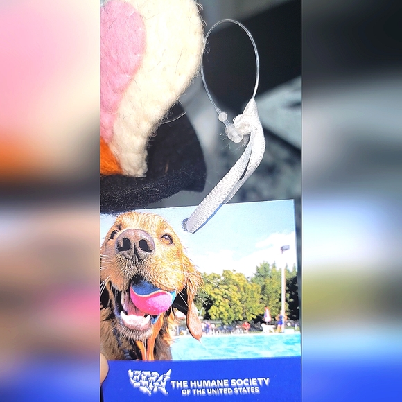 NWT in plastic Humane Society Halloween dog in witch hat. 13x5 inches - Picture 3 of 8